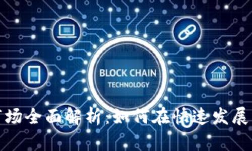 深圳虚拟币交易市场全面解析：如何在快速发展的市场中把握机会