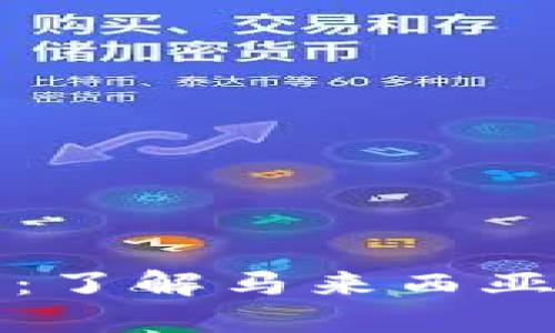 马币与虚拟货币：了解马来西亚的数字货币崛起