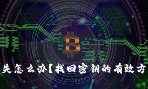 TP钱包密钥丢失怎么办？找回密钥的有效方法与预防措施