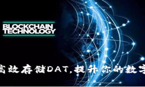 : TP钱包如何高效存储DAT，提升你的数字资产管理体验