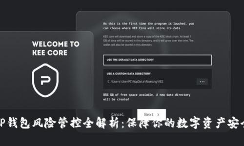 TP钱包风险管控全解析：保障你的数字资产安全