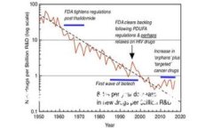 TP钱包电脑端导入教程：完整步骤与注