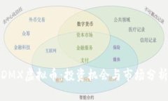DMX虚拟币：投资机会与市场分析