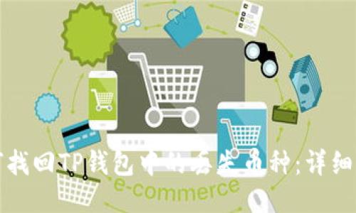 如何找回TP钱包中的丢失币种：详细指南