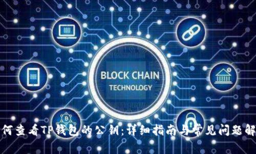 如何查看TP钱包的公钥：详细指南与常见问题解答