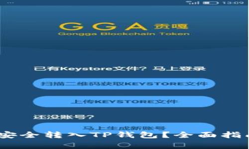 Vidyx币如何安全转入TP钱包？全面指南及注意事项