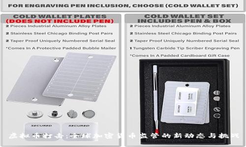 虚拟币打击：全球加密货币监管的新动态与挑战